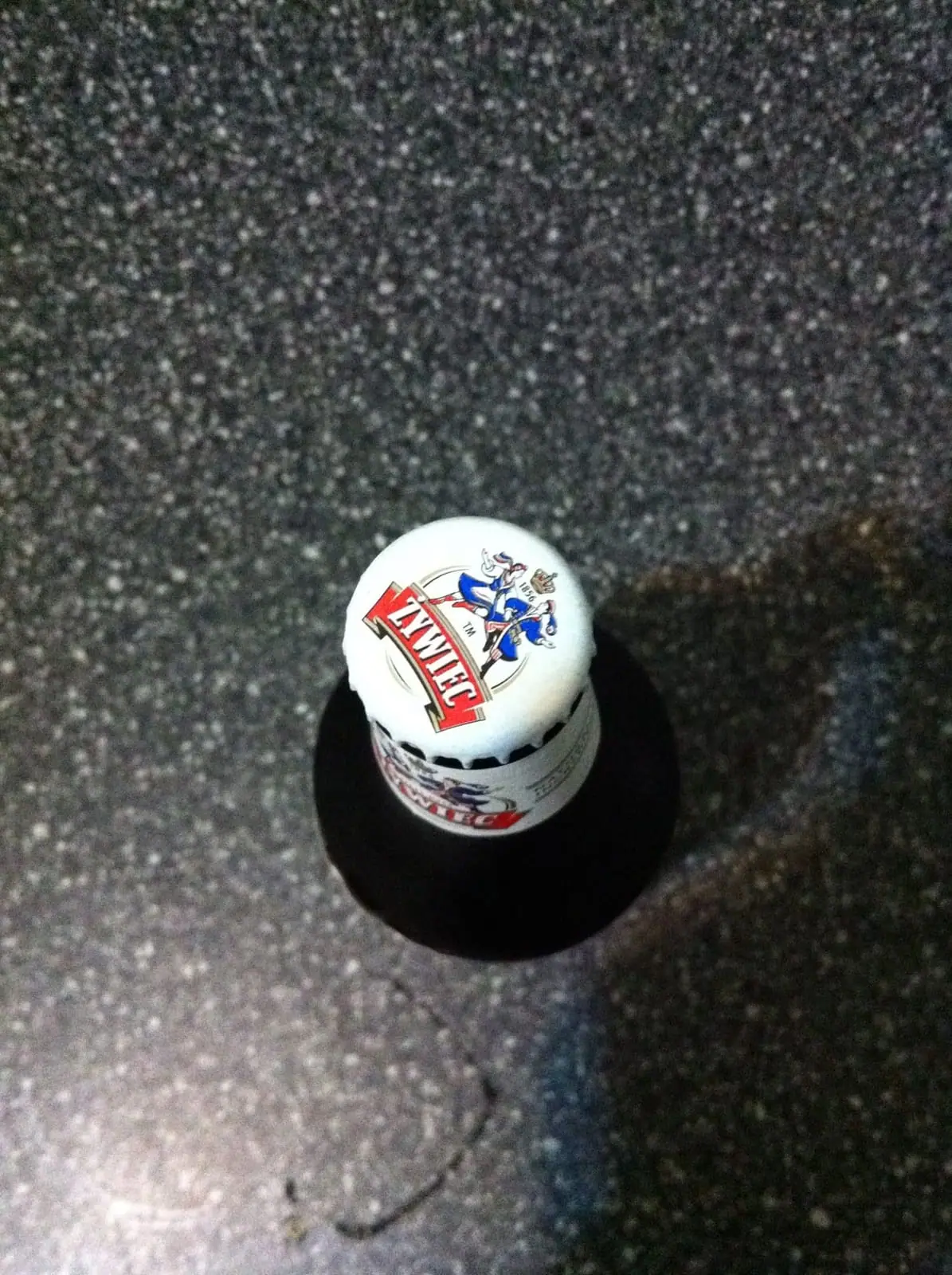 Zywiec Original Beer