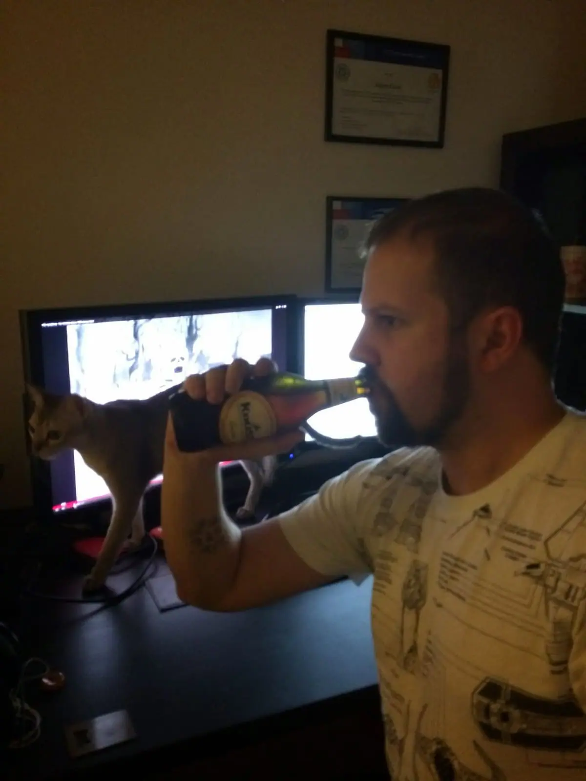 Kross Golden Cerveza Pale Ale